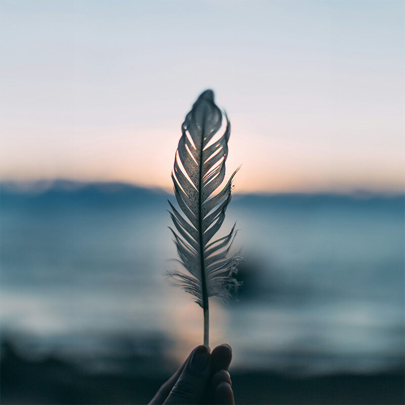 daiga-ellaby-h43VqtlnV7U-unsplash compressed daiga-ellaby-h43VqtlnV7U-unsplash compressed