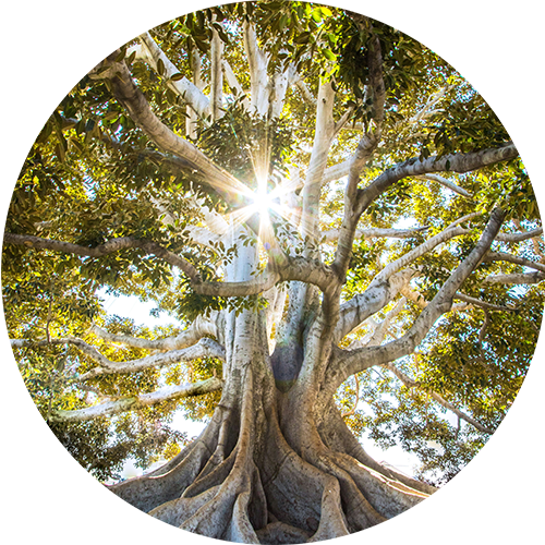 jeremy-bishop-EwKXn5CapA4-unsplash jeremy-bishop-EwKXn5CapA4-unsplash